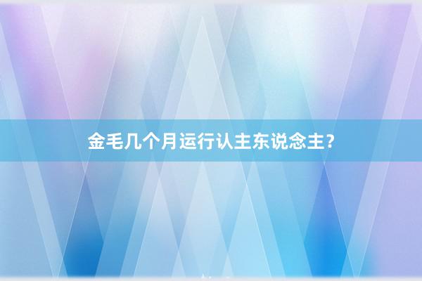 金毛几个月运行认主东说念主？