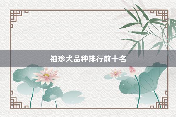 袖珍犬品种排行前十名